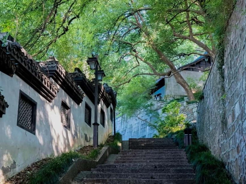 Hangzhou Insider Mini-Hike: TCM, Hill Views and Wet Market - Wu Shan Hill trails: Song-era grounds and slow altitude