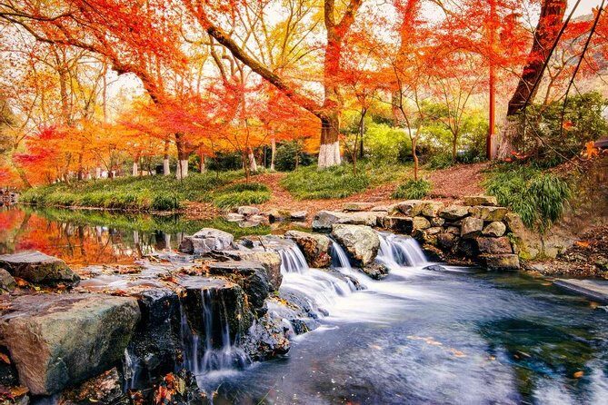Hangzhou Jiuxi and Hupao Spring Hiking Day Trip from Shanghai by Bullet Train - Pickup, timing, and comfort that actually matter