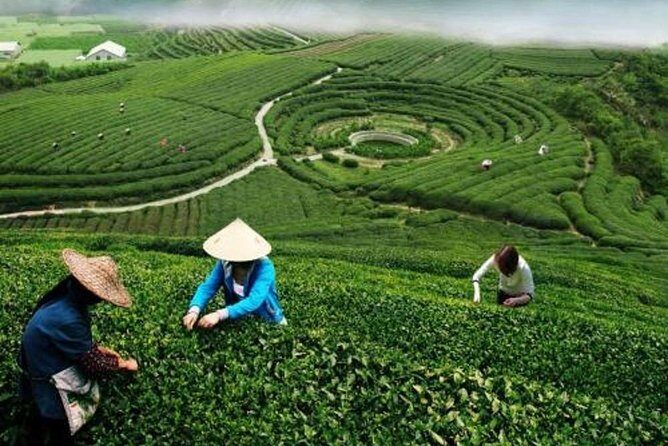 Hangzhou Private Customized Day Trip from Shanghai by Bullet Train - West Lake at Xihu: UNESCO beauty with crowd reality