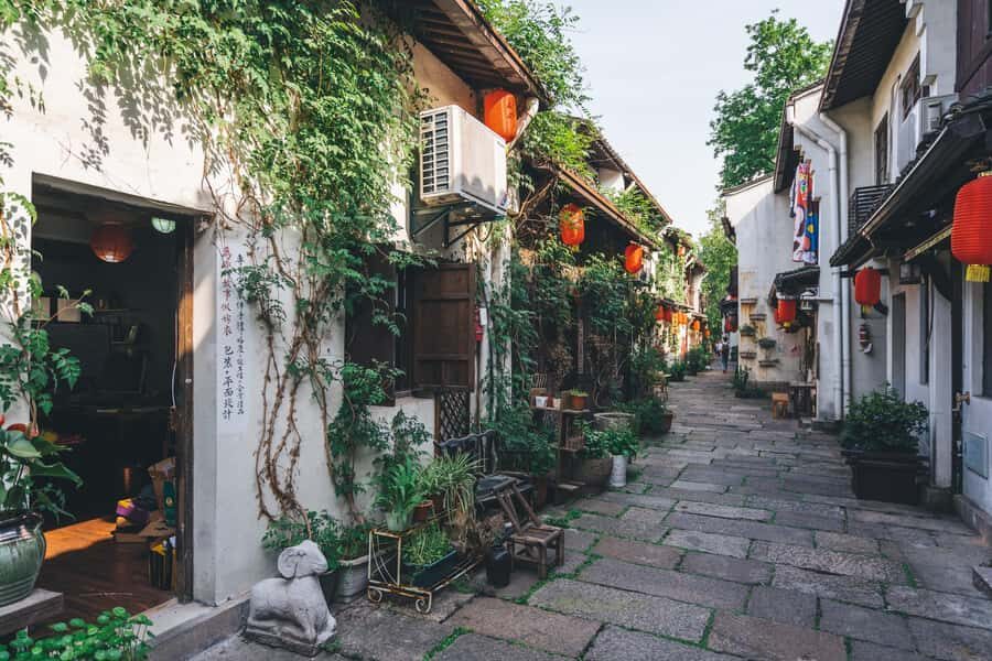 Hangzhou: Private Customized Tour of City's Top Sights - Lingyin Temple and Feilai Peak: China’s standout temple complex, plus views