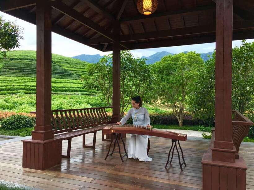 Hangzhou Private Day Trip by Bullet Train from Shanghai - Key highlights at a glance