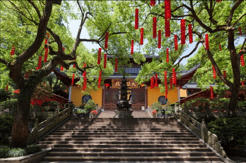 Hangzhou Private Day Trip by Bullet Train from Shanghai - Longjing village tea culture: tea-making steps and emperor-tea tasting