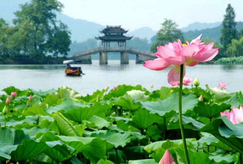 Hangzhou Private One Day Trip from Shanghai by Bullet Train - Hefang Street in the late afternoon: snacks, crafts, and an easy souvenir finish