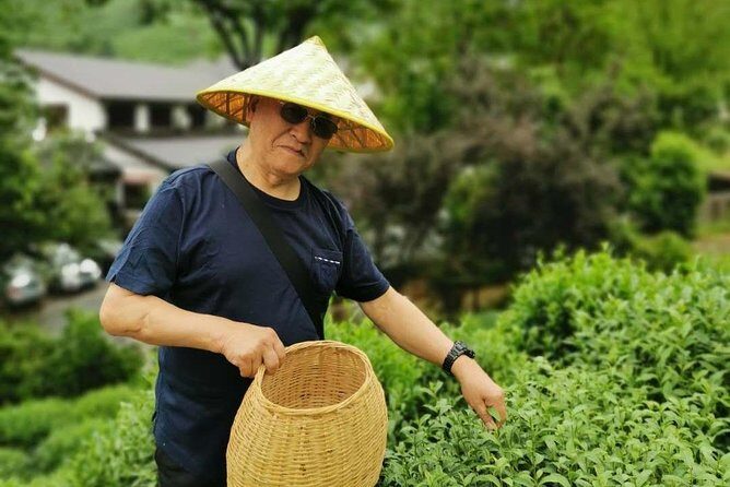 Hangzhou West Lake and Tea Plantation Half Day Tour - West Lake boat cruise: views plus stories, without wasting time