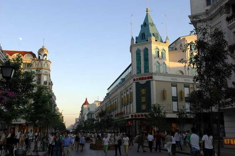 Harbin Ice and Snow Fairyland Private Day Tour - Who this tour fits best