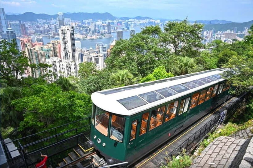 HK: Peak Tram, Dim Sum tasting, city tour with cruise - Quick hits before you go