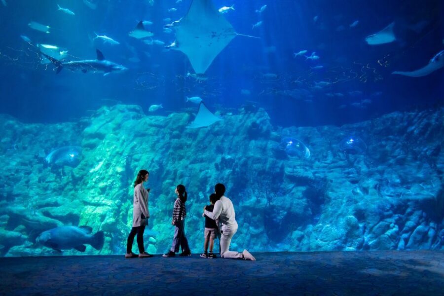 Hong Kong: Go City Explorer Pass - Choose 3 to 7 Attractions - Victoria Harbour and Aberdeen 1773: water views with a heritage angle