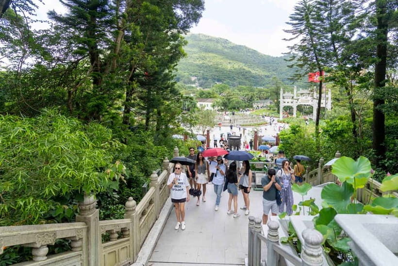 Hong Kong: Lantau Big Buddha Tour with Cable Car - Key takeaways before you go
