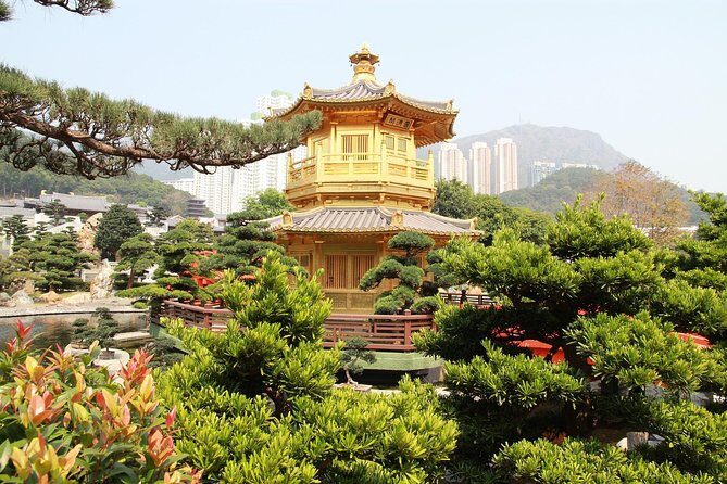 Hong Kong Layover Tour Private & Personalized with Local Guide - Skyline finale on garden paths: a calm ending with a big payoff