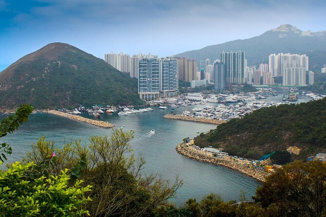 Hong Kong Like a Local: Private & Personalized Experience 2-6 hrs - Victoria Harbour and the skyline view: getting the big-picture meaning