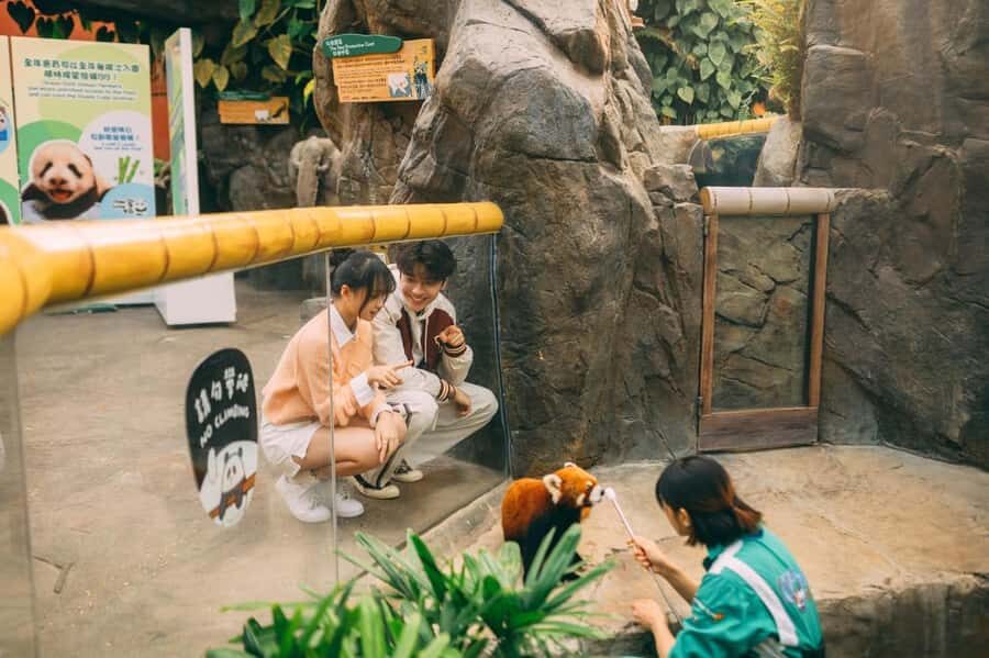 Hong Kong: Ocean Park Entry Ticket + OceanFasTrack Pass - Picking your priority stops: aquarium, Arctic Blast, and the rides people plan around