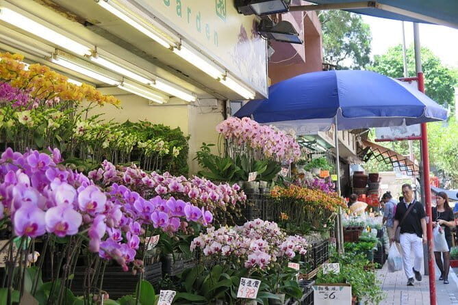 Hong Kong Private Shore Excursion 4/6hrs (with car - MPV) - What you’re really buying: private comfort + a local interpreter