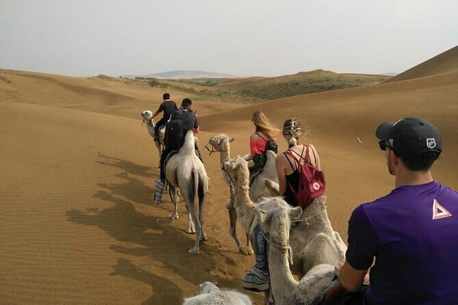 Inner Mongolia Hohhot 1Day Kubuqi Desert (Whistling Dune Bay)Tour - Kubuqi Desert: the less-cookie-cutter sand time
