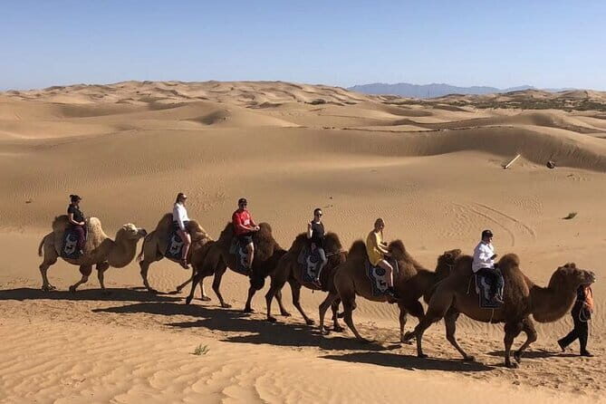 Inner Mongolia Hohhot 1Day Kubuqi Desert (Whistling Dune Bay)Tour - The private-guide advantage: translation and real-world problem solving
