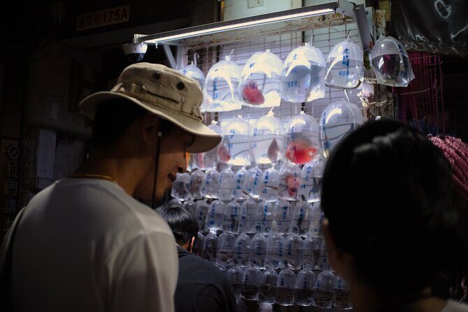 Kowloon Backstreet Private Night Tour - Starting at Prince Edward: get your bearings fast