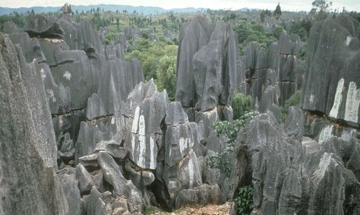 Kunming: Stone Forest Private Day Tour - Key things to know before you go