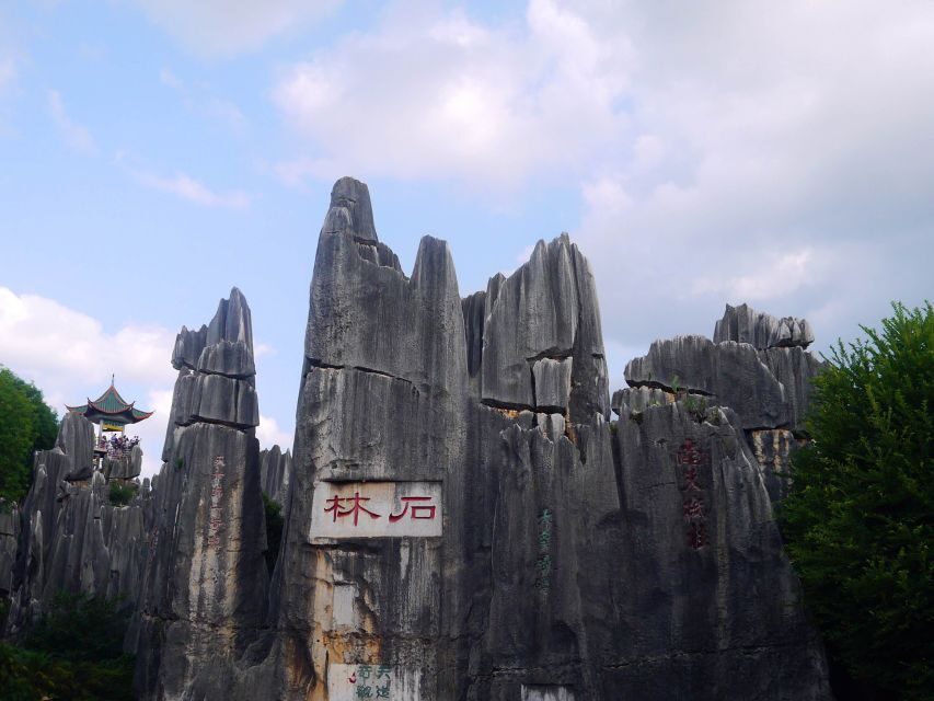 Kunming: Stone Forest Private Day Tour - Stone Forest: why the rocks look like they grew there