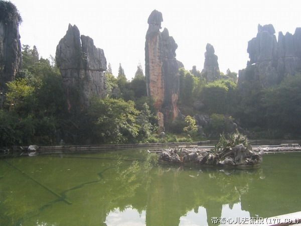 Kunming: Stone Forest Private Day Tour - Local guides turn myths into something you can use