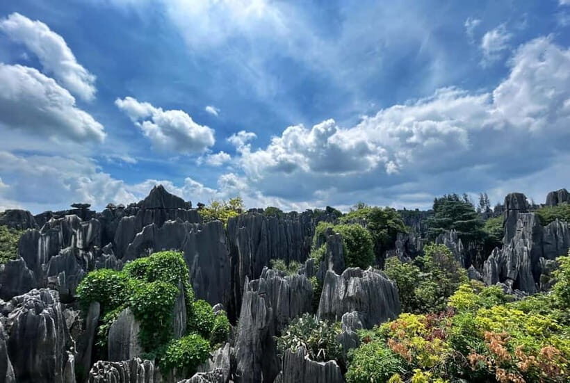 Kunming: Stone Forest, Roast Duck Lunch and City Tour - Key highlights to watch for