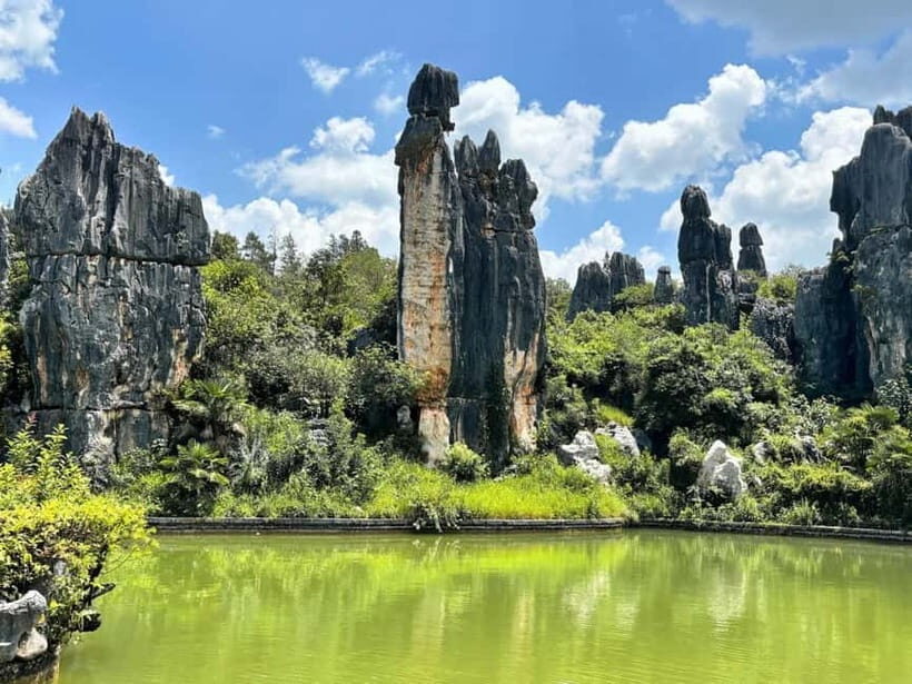 Kunming: Stone Forest, Roast Duck Lunch and City Tour - Stone Forest: UNESCO stone trees that make geology feel personal