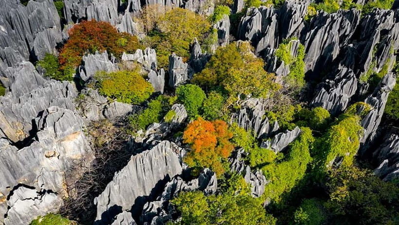 Kunming: Stone Forest, Roast Duck Lunch and City Tour - Kunming Old Town and Guandu: pick your finish line after the forest