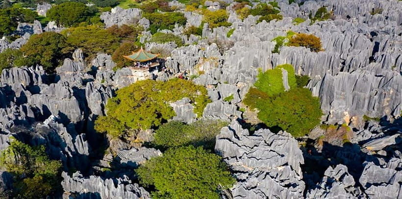 Kunming: Stone Forest, Roast Duck Lunch and City Tour - FAQ