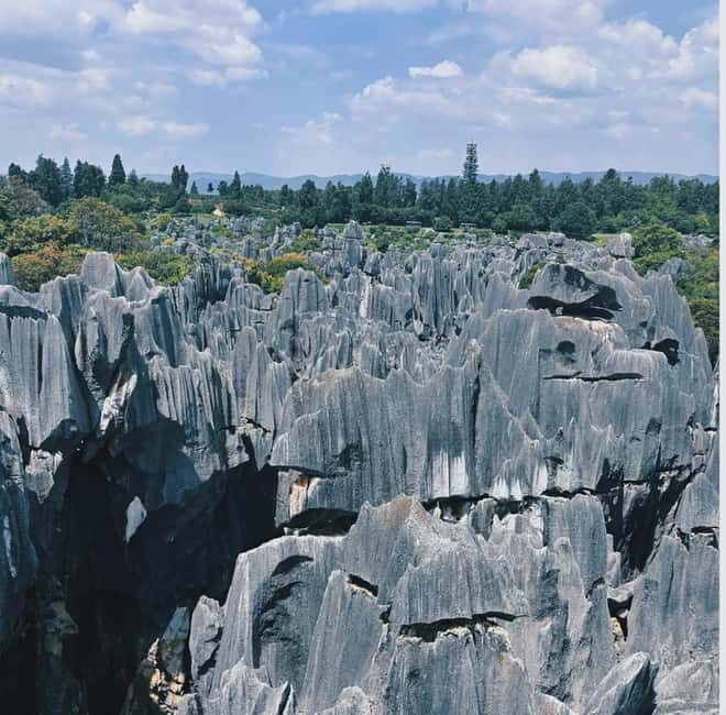 Kunming: Stone Forest, Roast Duck Lunch and City Tour - Greater vs Lesser Stone Forest: how to plan your walking time