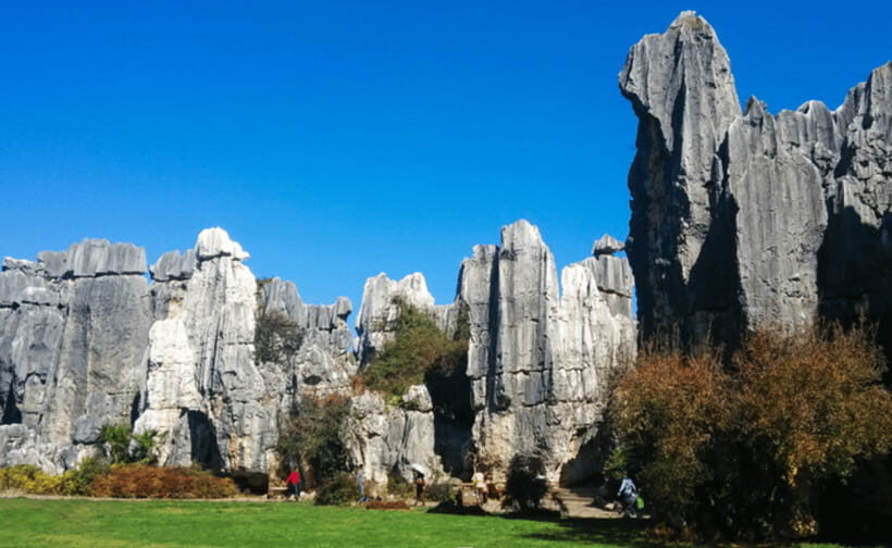 KunmingStone Forest Private Tour:Scenic Walks+Guide Insights - Price and Value: Is $206 Per Person Fair for This Setup?
