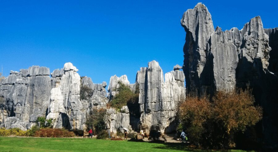 KunmingStone Forest Private Tour:Scenic Walks+Guide Insights - What I’d Suggest You Pack and Plan for (So the Day Feels Easy)