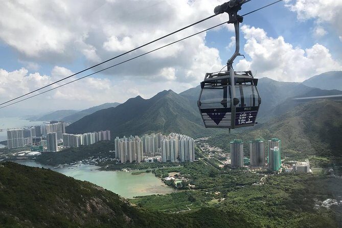 Lantau Island Private Tour w/ Transport & English speaking guide - Dolphin boat ride from Tai O: what you can expect