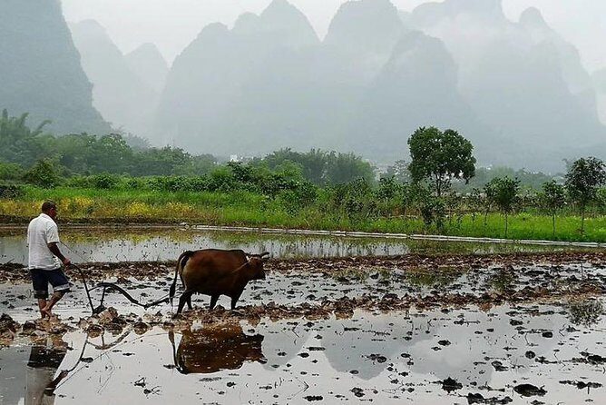 Li River Cruise with bamboo Rafting & Xianggong Hill Private Tour - Should you book this Li River bamboo cruise with Xianggong Hill and Fuli Bridge?