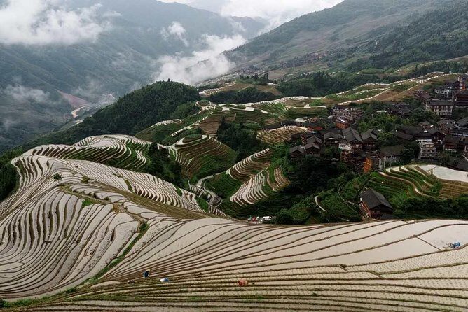 Longji Rice Terraces and Minority Village Day Tour - Price and value: what $116 actually buys you