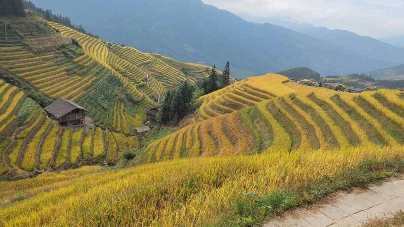 Longji Rice Terraces: Full-Day Private Tour from Guilin - The Small Details That Often Make the Difference