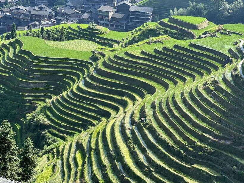 Longji Rice Terraces: Full-Day Private Tour from Guilin - Getting There From Guilin (or Yangshuo) Without the Headache
