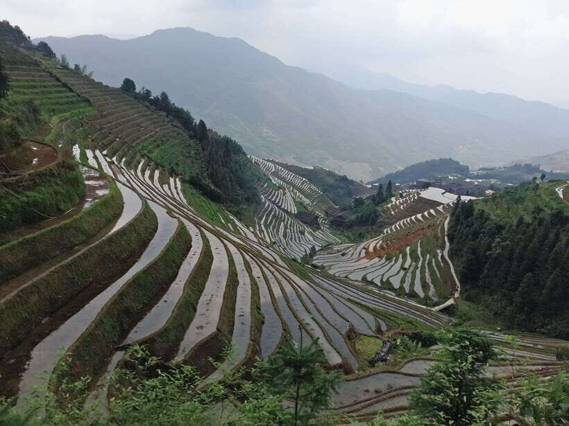 Longji Rice Terraces: Full-Day Private Tour from Guilin - Dazhai Village and Your Time With the Terraces