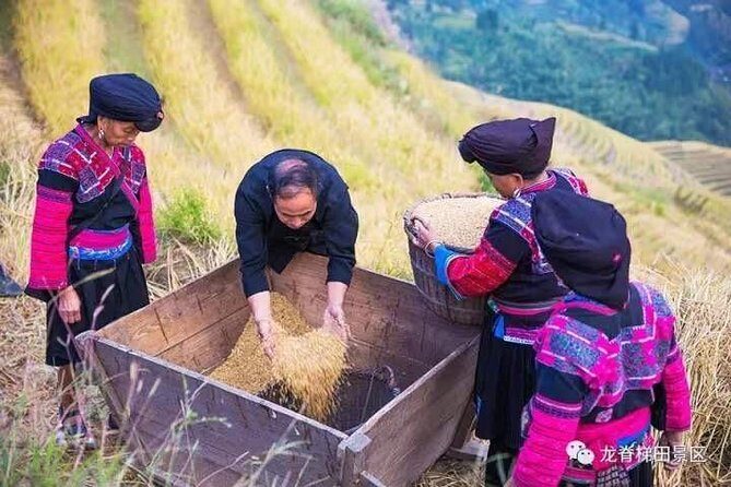 Longji rice terraces & minority villages private day tour - Longji From Guilin: Why This Day Trip Is Worth the Time