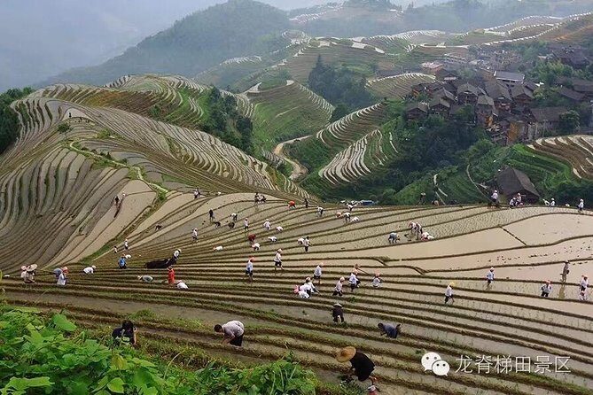 Longji rice terraces & minority villages private day tour - Longji Rice Terraces: Your Included Admission and the PingAn Electric Car