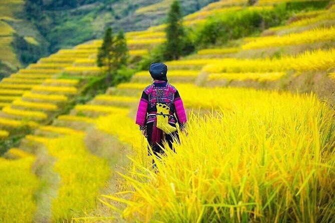 Longji rice terraces & minority villages private day tour - What to Pack for a Long, Terrace-Focused Day