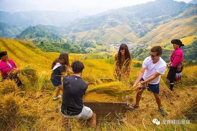 Longji rice terraces & minority villages private day tour - Price and Logistics: Where the Value Actually Comes From