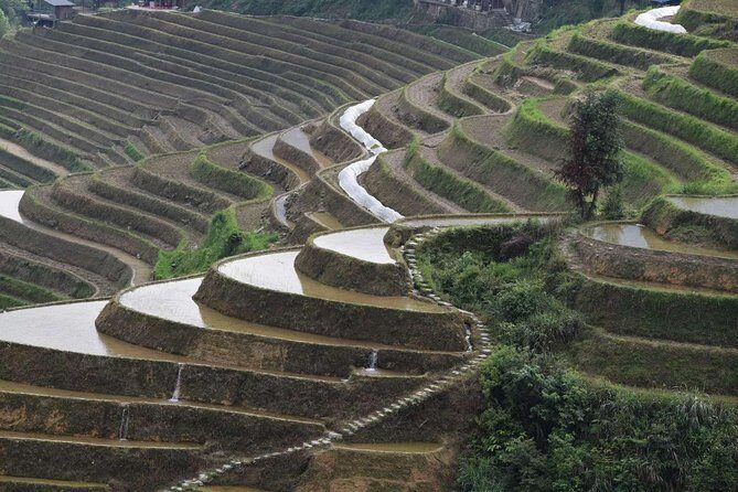 Longji Rice Terraces with the Dazhai Cable Car Private Day Tour - Price and Value: Is $165 a Good Deal for This Private Day?