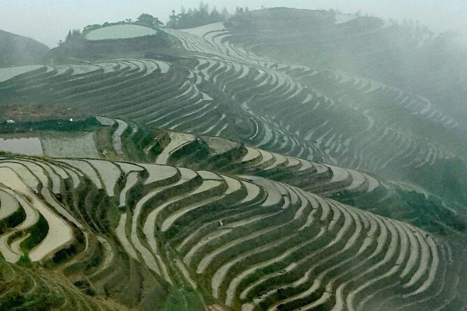 Longji Rice Terraces with the Dazhai Cable Car Private Day Tour - What Can Go Wrong (and How to Handle It)