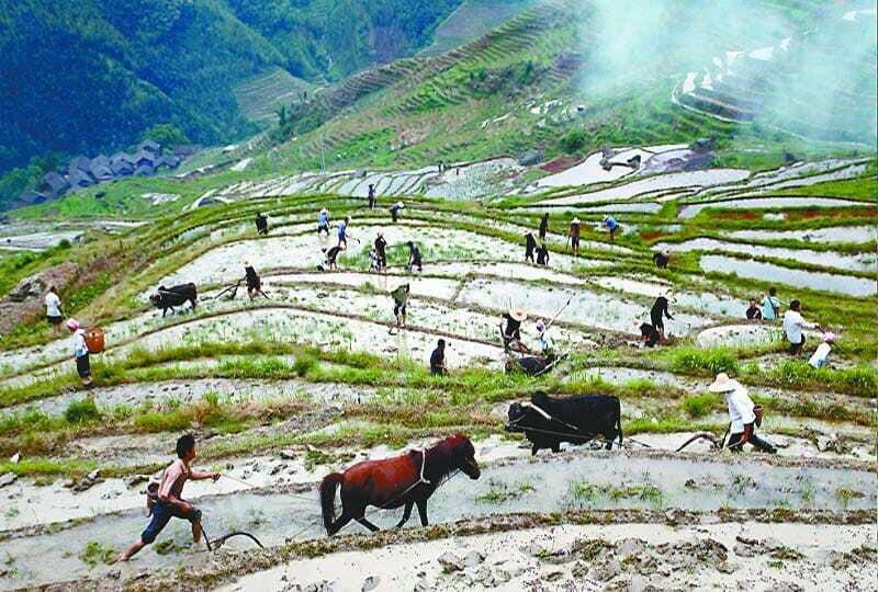 Longsheng Ethnic Minority & Rice Terraces Full-Day Tour - Yao Village Visit: Costumes, Daily Life, and the Tourism Factor