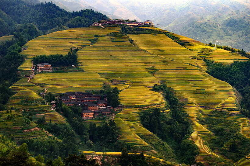 Longsheng Ethnic Minority & Rice Terraces Full-Day Tour - Who This Tour Fits Best (and Who Should Skip It)