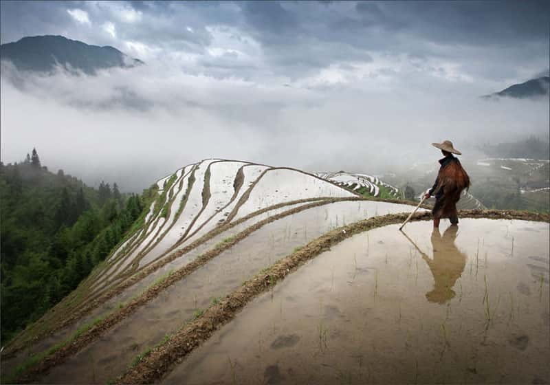 Longsheng Ethnic Minority & Rice Terraces Full-Day Tour - Guilin Pickup and the Drive to Longsheng County (and How to Survive It)