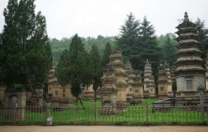 Louyang Day Tour from Xian: Longmen Grottoes, Shaolin Temple - Key highlights at a glance