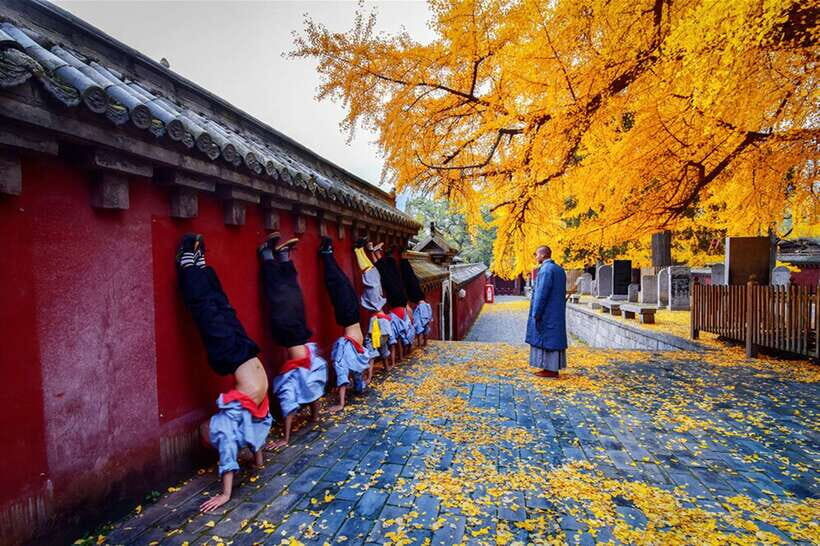 Louyang Day Tour from Xian: Longmen Grottoes, Shaolin Temple - Longmen Grottoes: the Yi River cliffs and 100,000+ stone figures