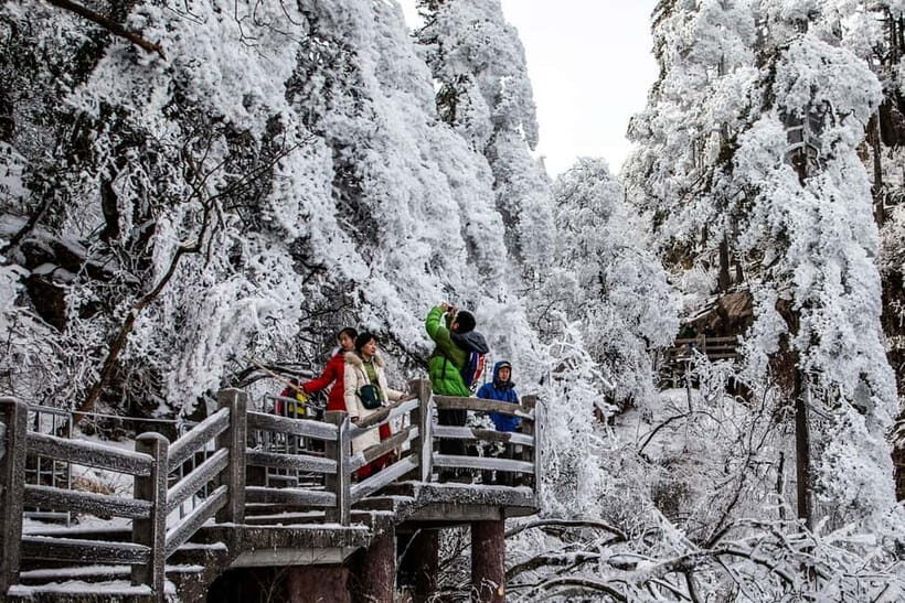 Mount Huangshan: Highlights Tour in Huangshan full-day - How the Route Fits Your Fitness (and Why It Helps)