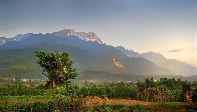 Mt Emei and Giant Buddha 2 Days Tour - Key Things I’d Book This Tour For