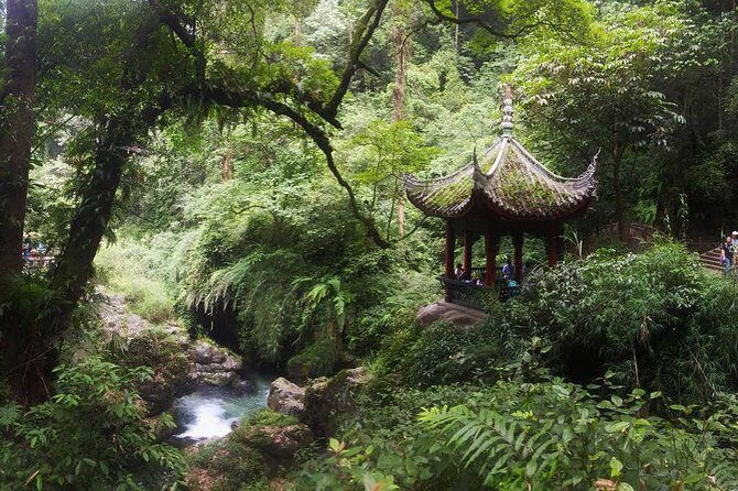 Mt Emei and Giant Buddha 2 Days Tour - Price and Logistics: Does $383.59 Feel Fair?