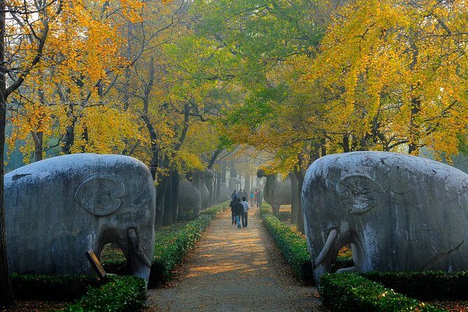 Nanjing Private English Tour Guide Service - Building your Nanjing route around Ming sites and city icons